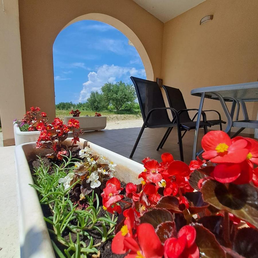 Apartman Darija 2 Podstrana Kültér fotó